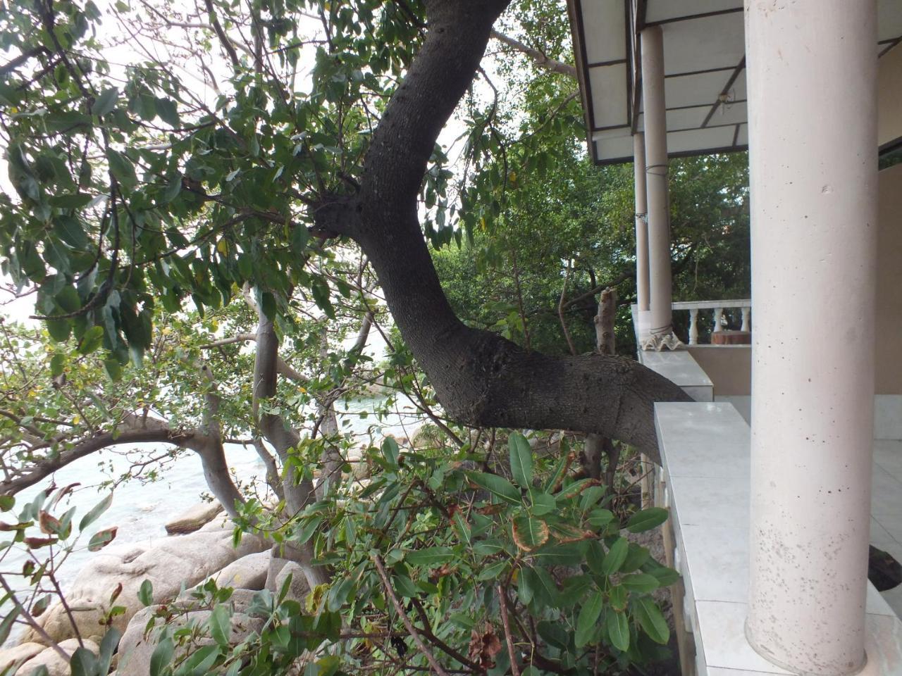 Queen Resort Koh Tao Eksteriør billede